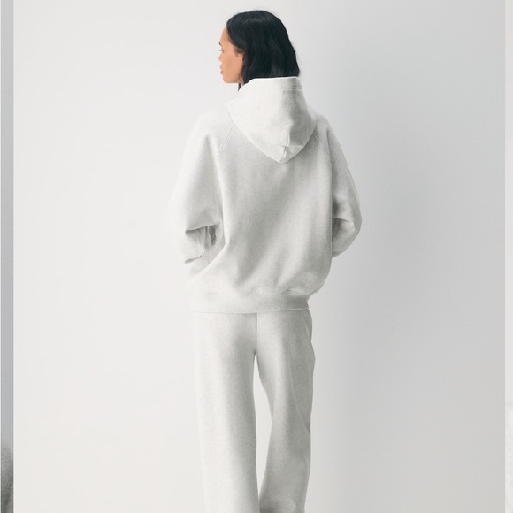 NWT Aritzia Cozy Sweatfleece Mega Raglan Hoodie - Picture 3 of 7